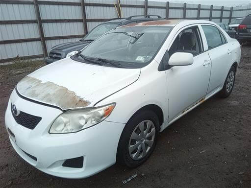 White Toyota Corolla with rusted hood in a salvage lot.